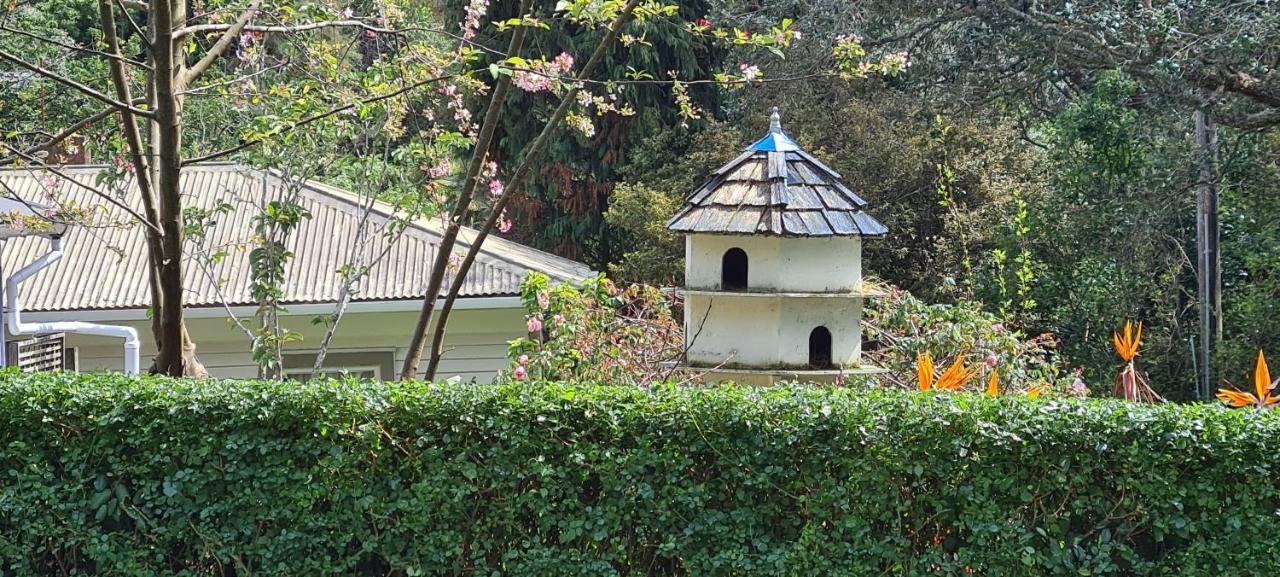 مبيت وإفطار أوكلاند Dovecote House المظهر الخارجي الصورة